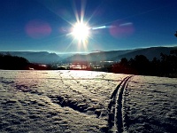 Winterfoto aus Bad Harzburg mit zwei Spuren im Schnee auf dem Langenberg